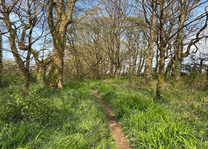 Pyggwyn